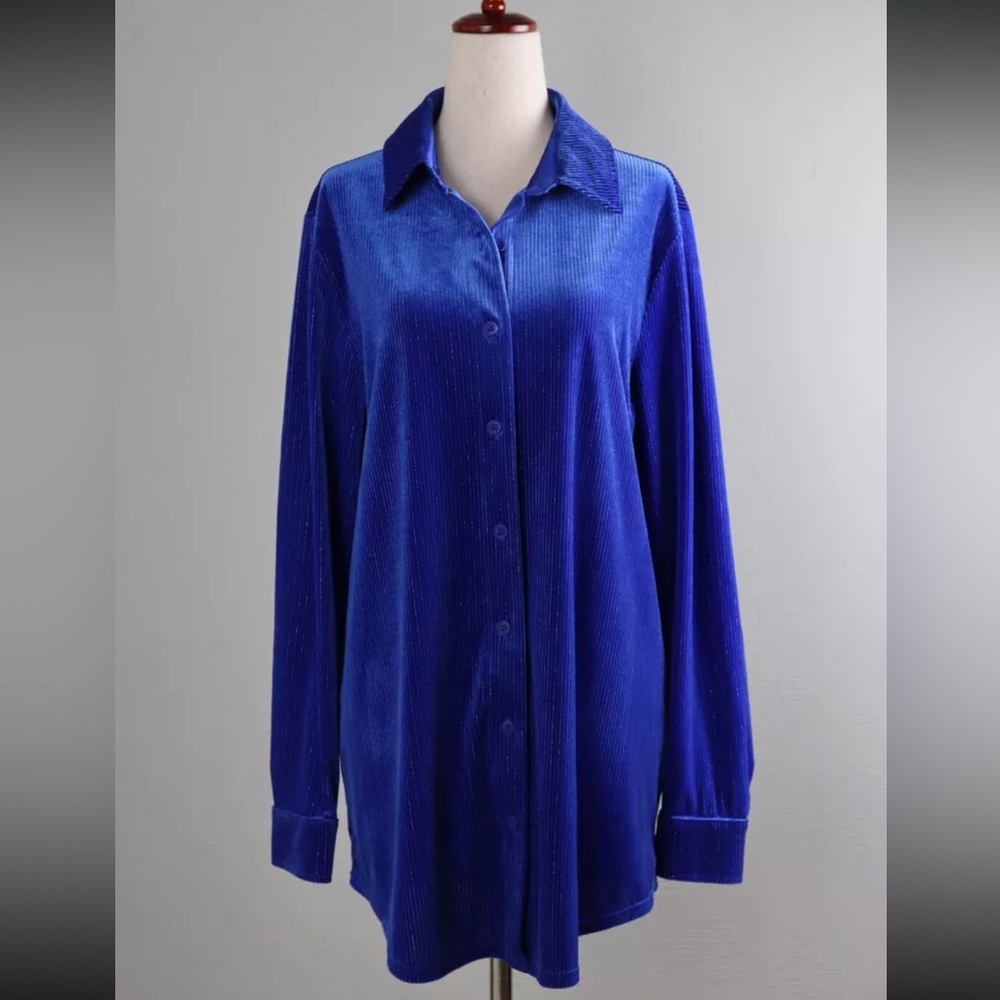 Royal Blue Velvet Button-up Blouse | Large | Soft Surroundings | Silver Stripes - Picture 3 of 16